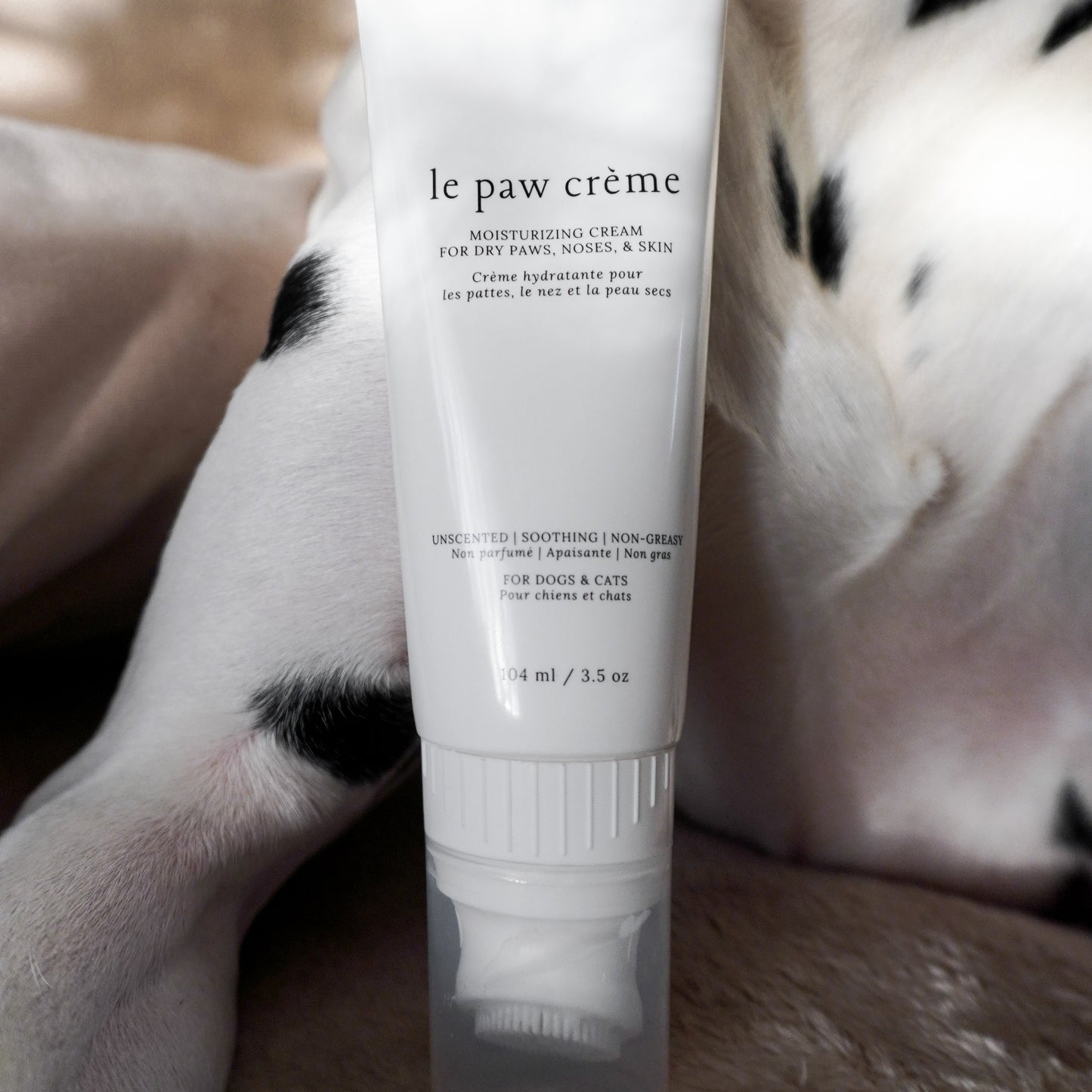 Le Paw Cream resting on a dog's paws — a calm reference image for the summer pet skin care routine.
