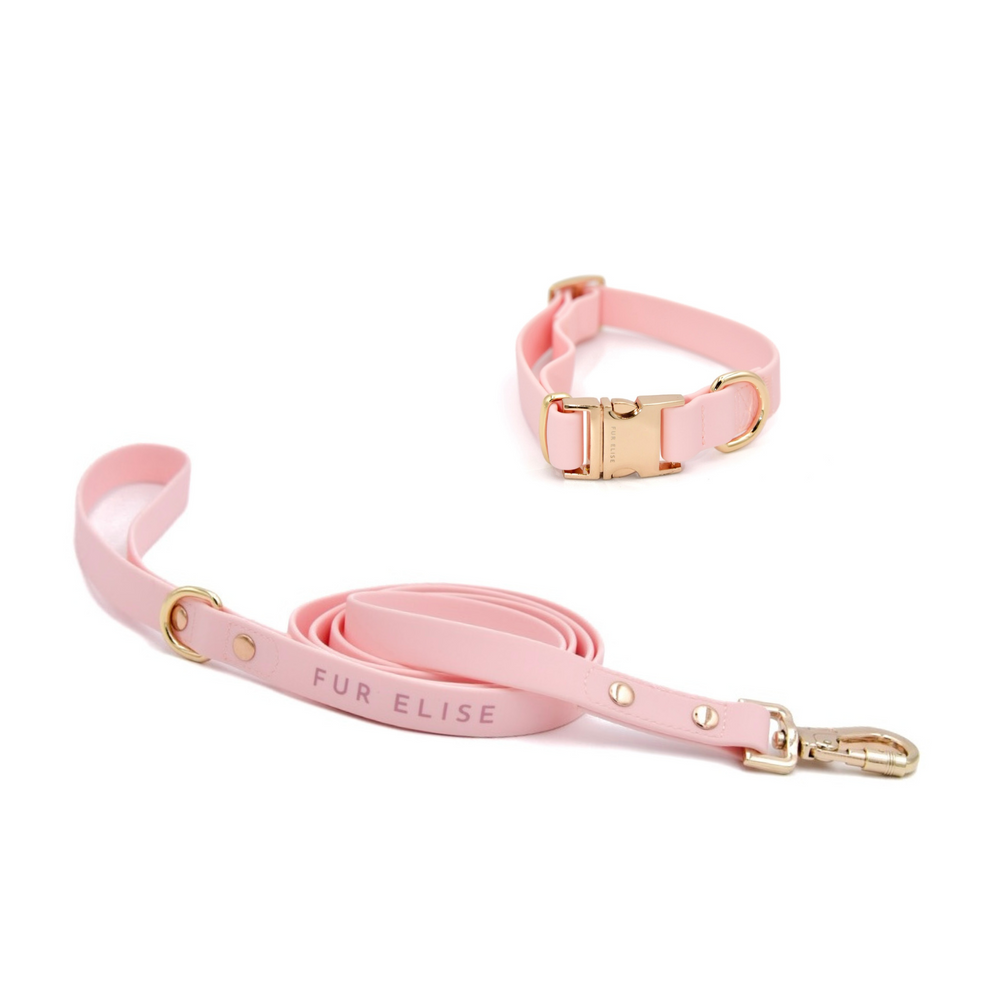 Elise Collar & Leash Bundle - Rose