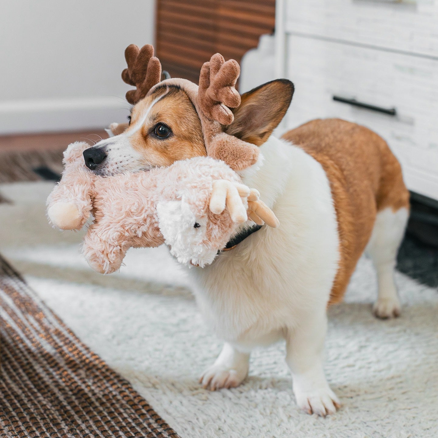 Fur Elise Vixi Plush Toy - Maxi – Fur Elise Pets