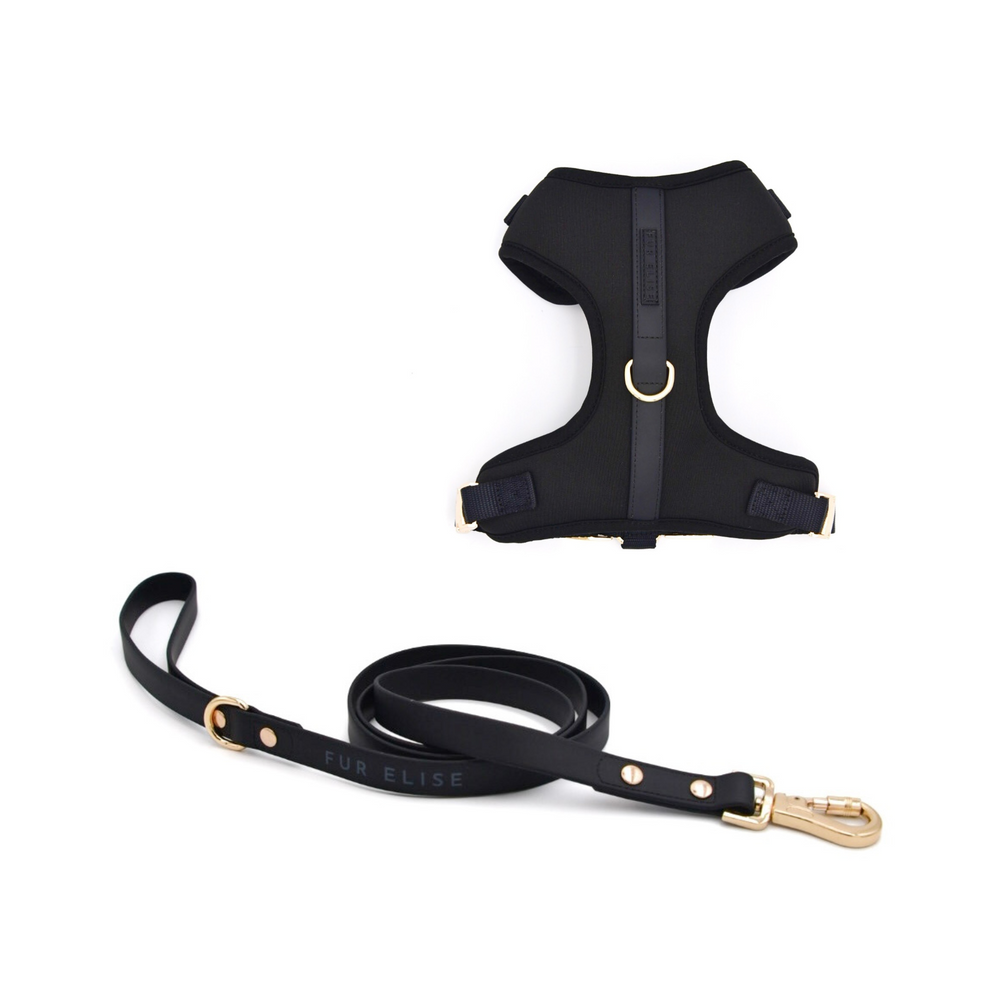 Elise Harness & Leash Bundle - Noir