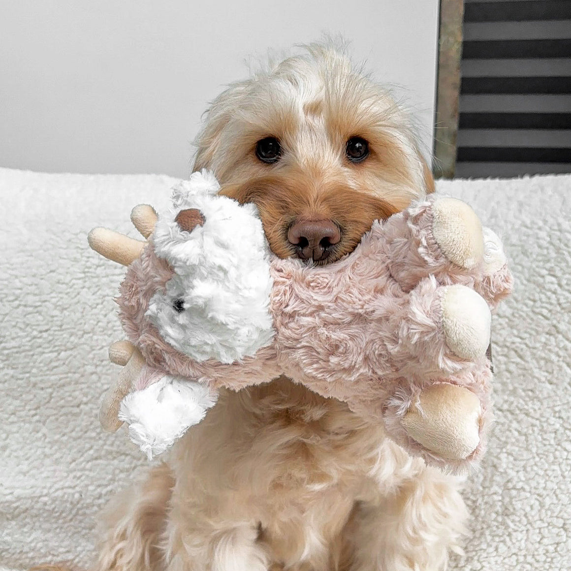Fur Elise Vixi Plush Toy - Maxi – Fur Elise Pets