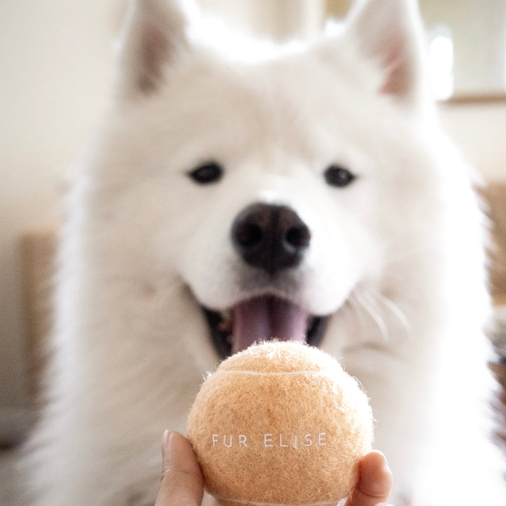 So Fetch! Tennis Ball - Sand