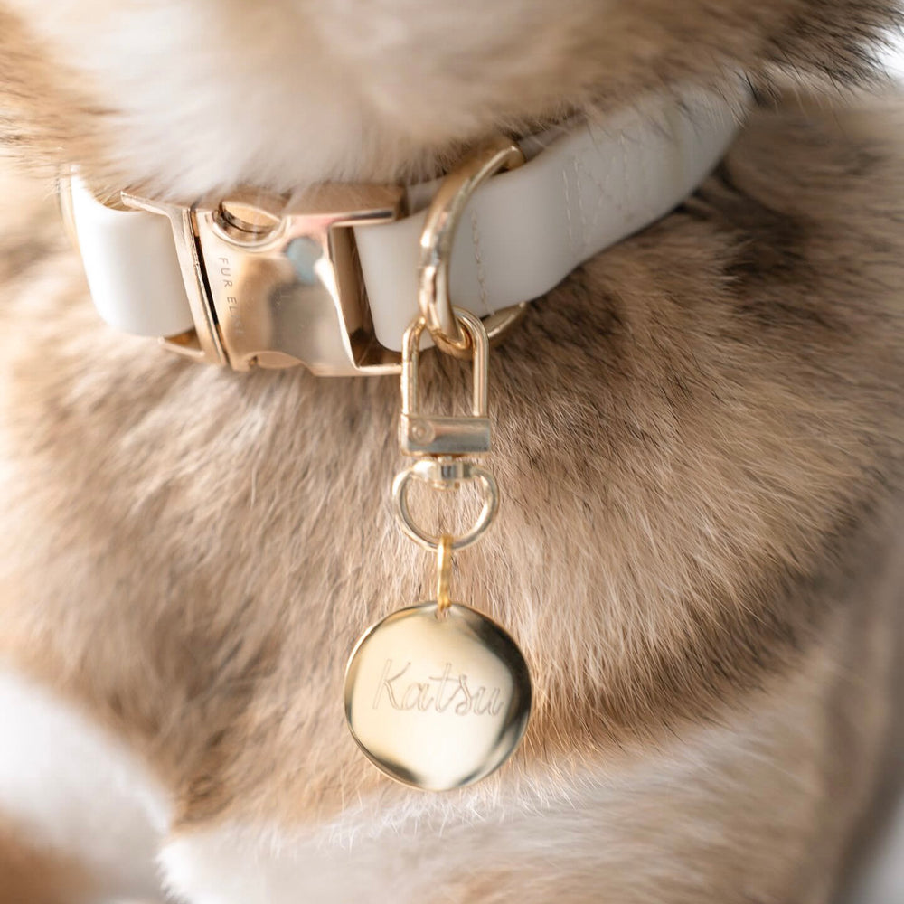 
                  
                    Custom Pet Tag Keyring
                  
                