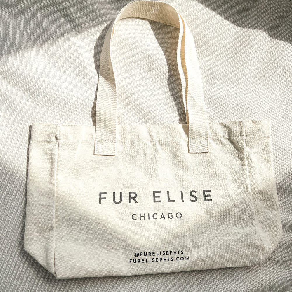 
                  
                    Logo Canvas Tote Bag
                  
                