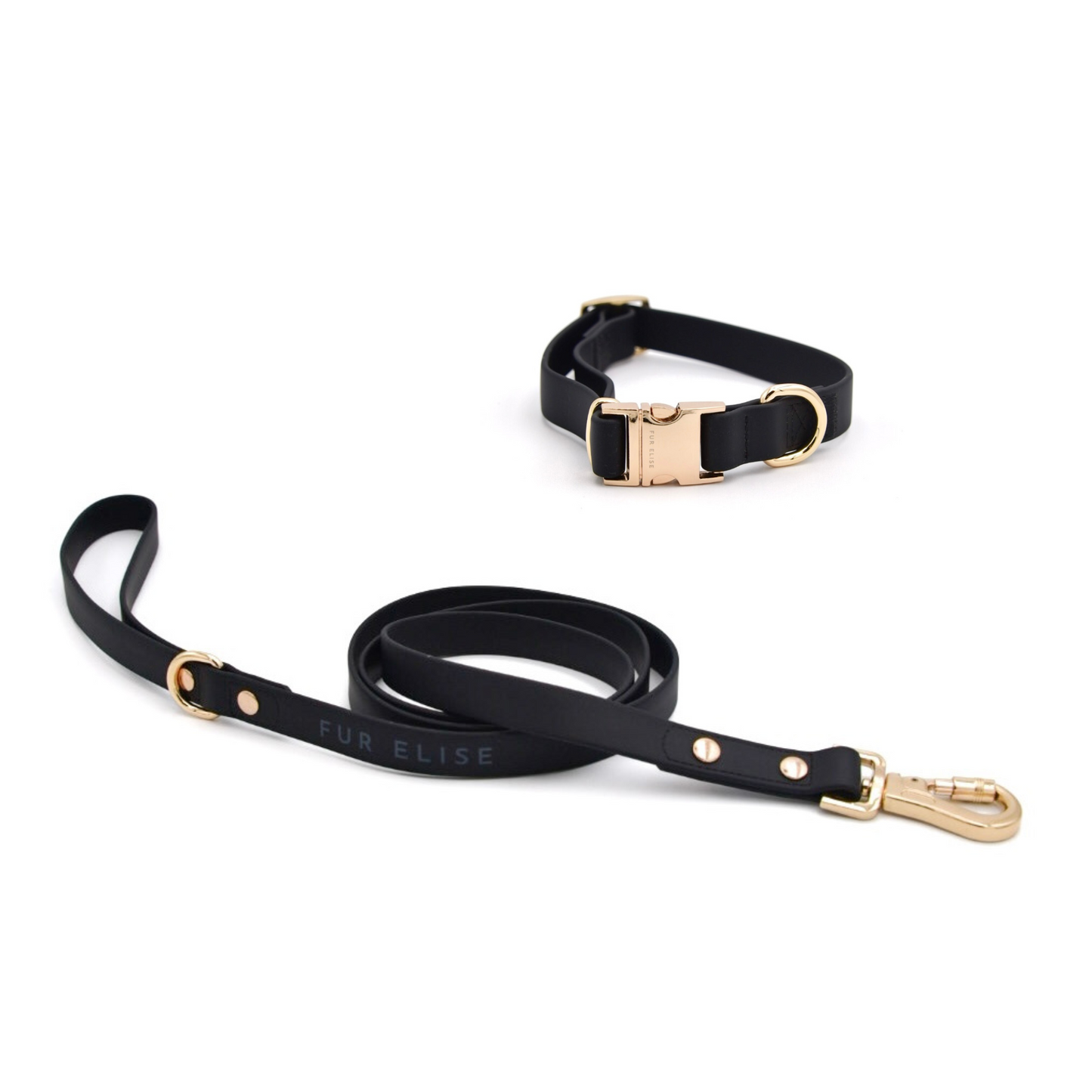 Elise Collar & Leash Bundle - Noir