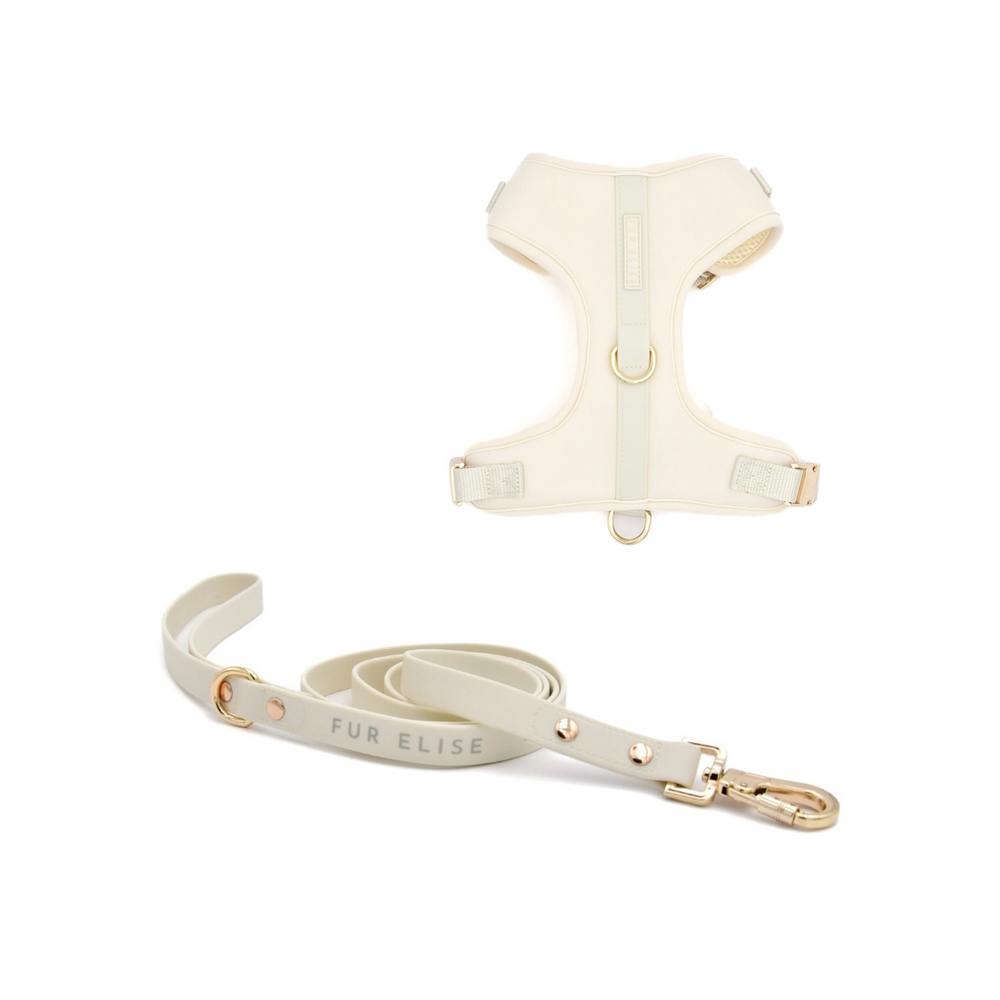 Elise Harness & Leash Bundle - Bone