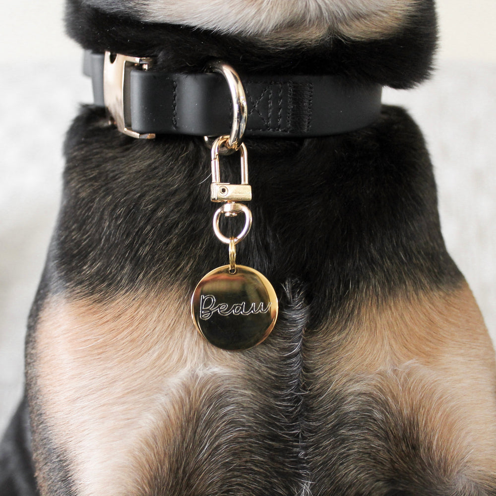 
                  
                    Custom Pet Tag Keyring
                  
                