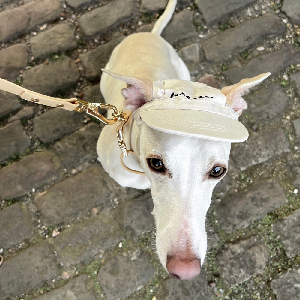 
                  
                    Furever Pet Hat
                  
                