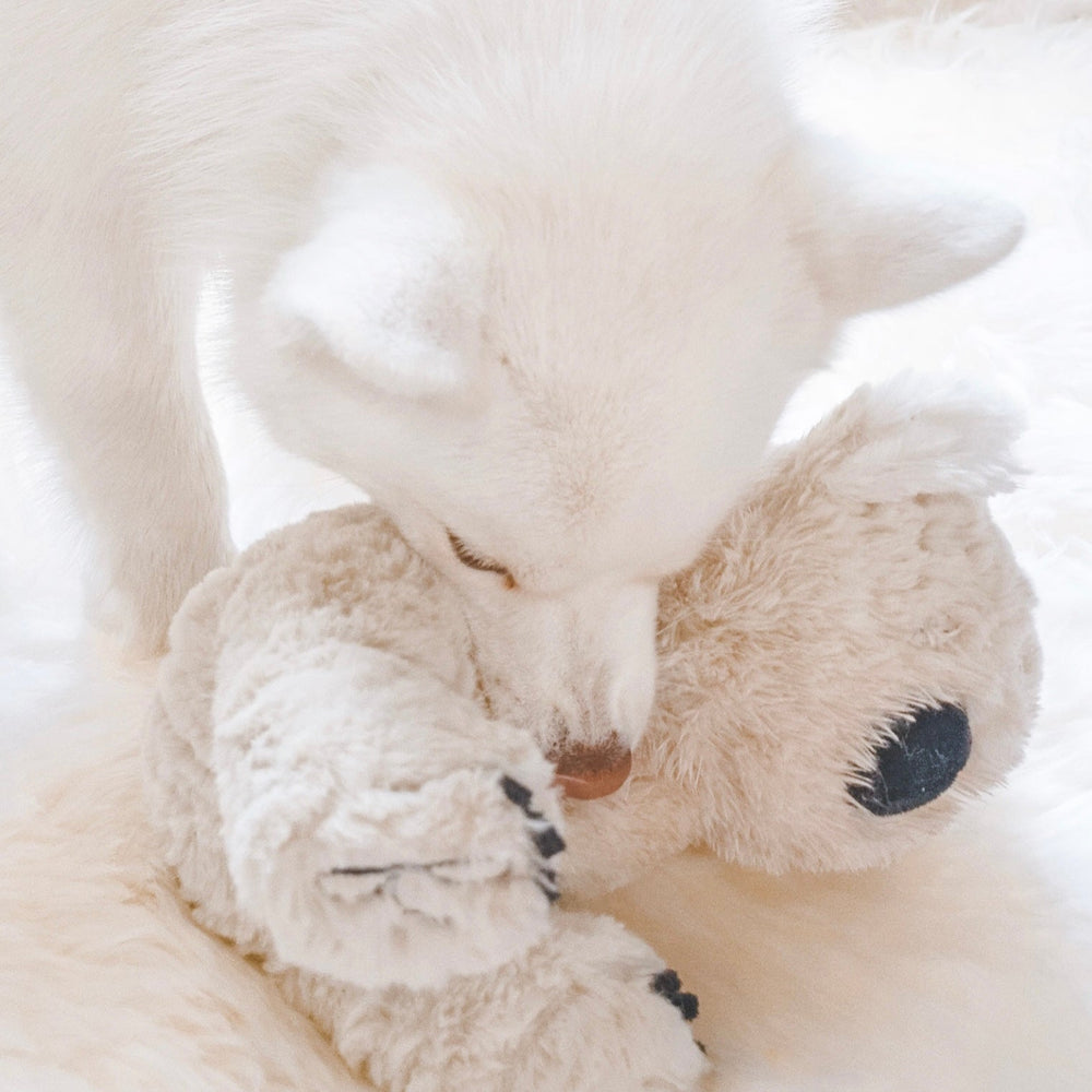
                  
                    Koko Plushie - Fur Elise Pets
                  
                